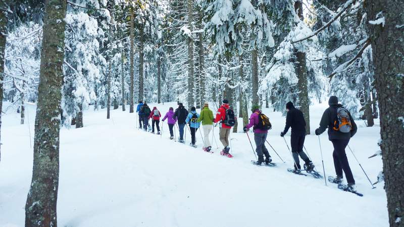 Schneeschuh-Camp