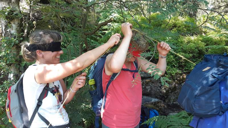 Geocaching+ "grüne Lunge" Dresdner Heide