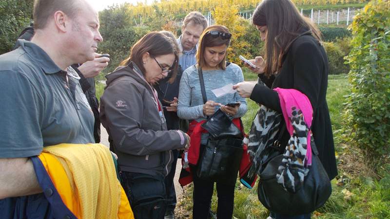 GPS Gruppe in den Weinfeldern Wein GPS-Caching mit Weinverkostung