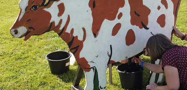 Bavaria Games Bayerische Spiele