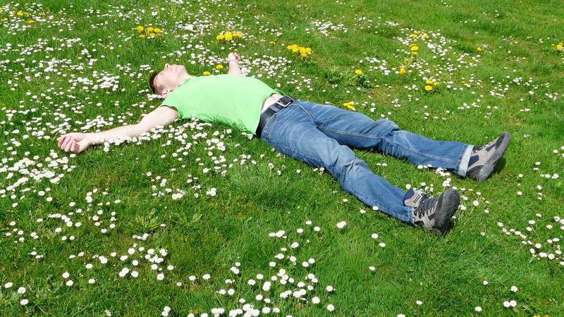 Niksen - Das Nichtstun-Event-Umwelt