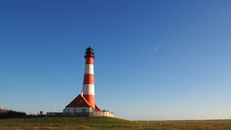 Betriebsausflug nach Nordfriesland und den Halligen