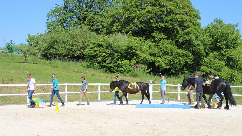 Team-Erlebnis mit Pferd & Bogenschießen