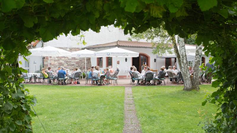 Bootstour, Barbecue & Bash in Rheinhessen
