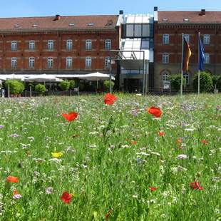 nestor Hotel Ludwigsburg