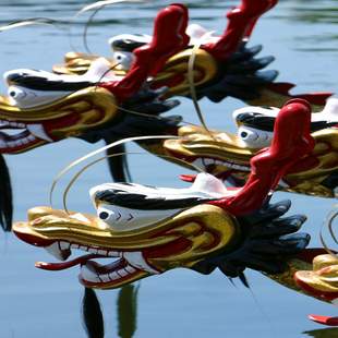 drachenboot, dragon boat, event, Premium , drachenbootfahren, drachenbootrennen, Premium Event, rennen, fahren, paddeln