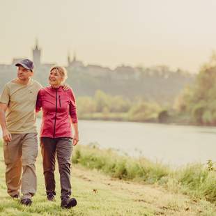 Wandern am Neckar bei Bad Wimpfen