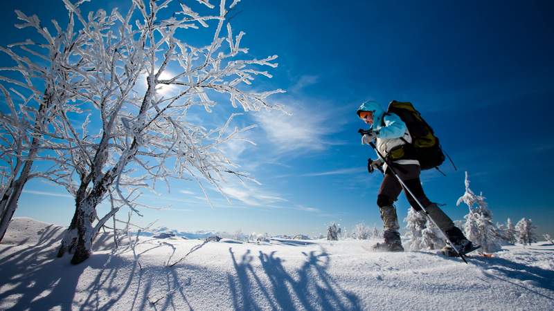 Wintererlebnis-Reise nach Innsbruck