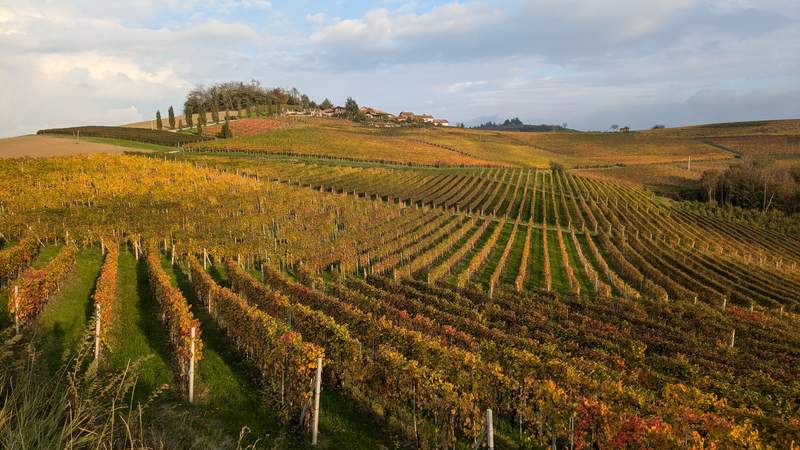 VinoVia WeinWanderreisen