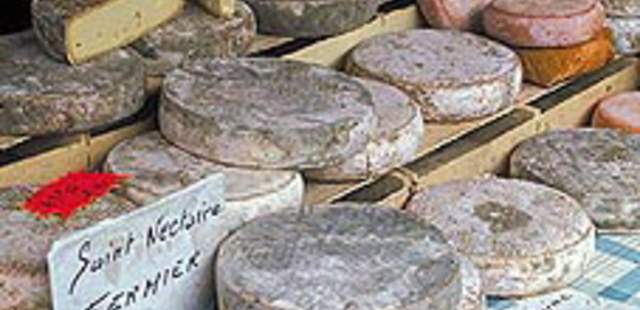 Käse "Wo ist der Käse?" Change neu gedacht