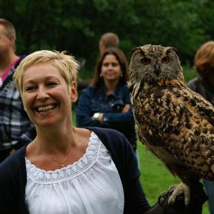 workshop mit greifvogel und eulen