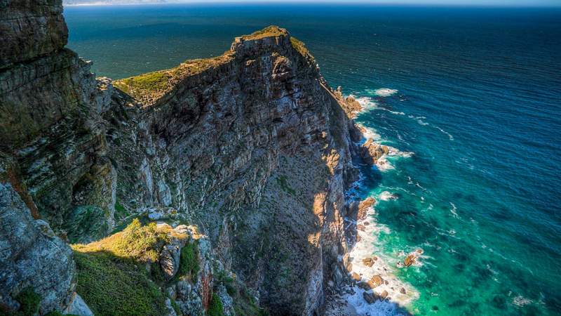 African Wildlife meets vibrant Cape Town