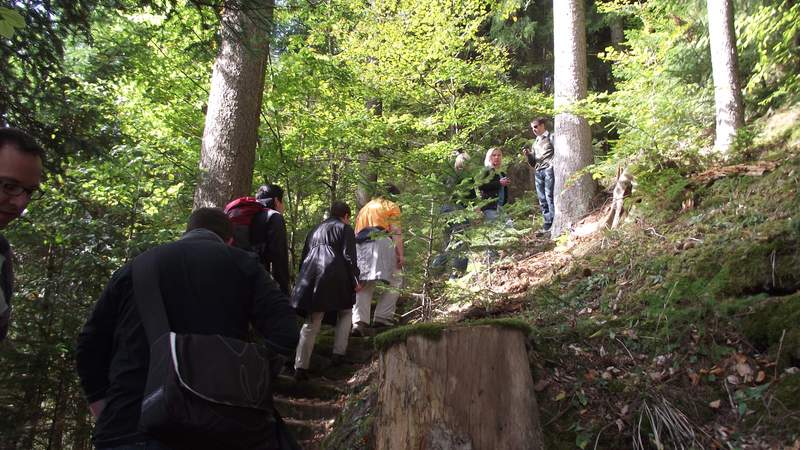 Wanderung & Teamspiele & Grillen im Team