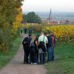 Wein GPS-Caching mit Weinverkostung