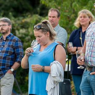 Weinprobe im Weinberg Kinheim