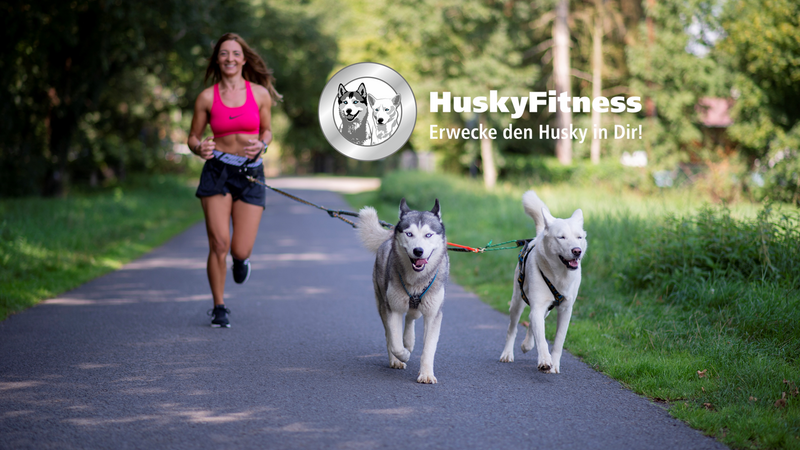 Health-Teambuilding mit HuskyFitness