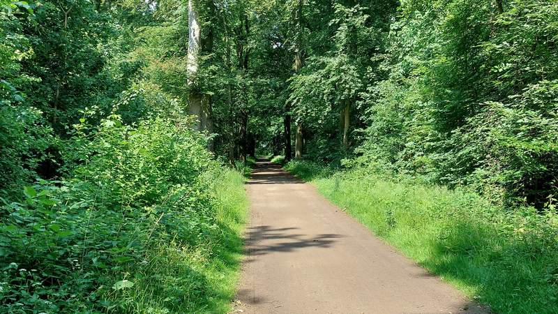 Jägermeister gesucht...! in der Eilenriede