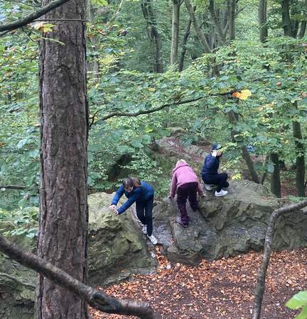 WaldBaden in den Wäldern Berlins- Geocaching+