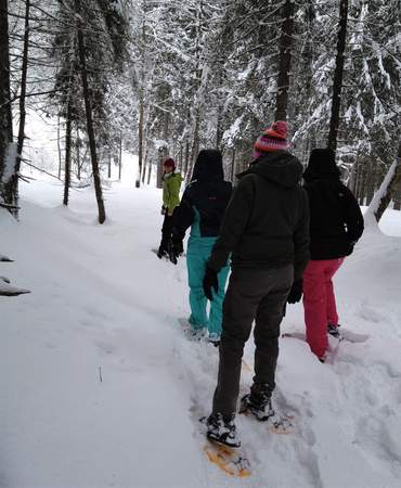 Schneeschuhwandern im Sauerland