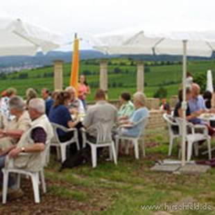 Weinlese - von der Rebe zum fertigen Wein