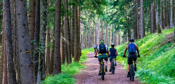 Mountainbike-Tour um den Blomberg