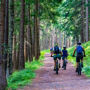 Mountainbike-Tour um den Blomberg