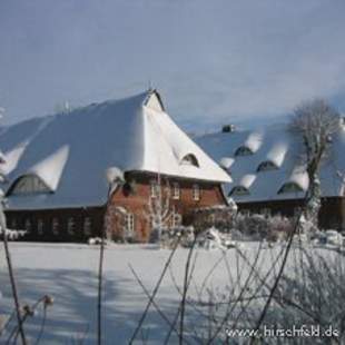 Winter auf Gut Schöneworth Grünkohl-Boßel-Tour