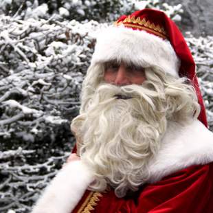 Weihnachtsbaumschlagen | „Tanne to go“