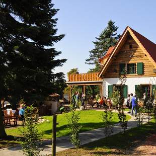 Rund um den Outdoorpark Lauschhütte