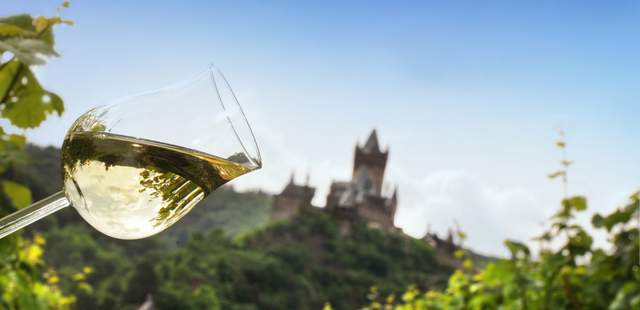 Wine & Work: Tagen an der Mosel - Treis-Karde