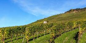 Hunsrück - Mosel - Rhein Teamevents