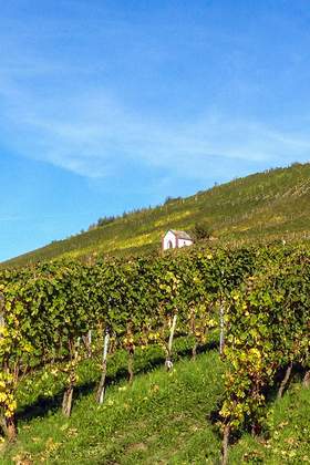 Hunsrück - Mosel - Rhein