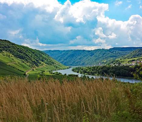Rheinland Firmenevent