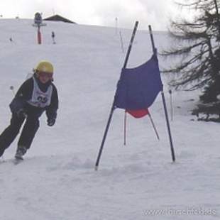 Skirennen für Jedermann! Wer gewinnt den Cup?