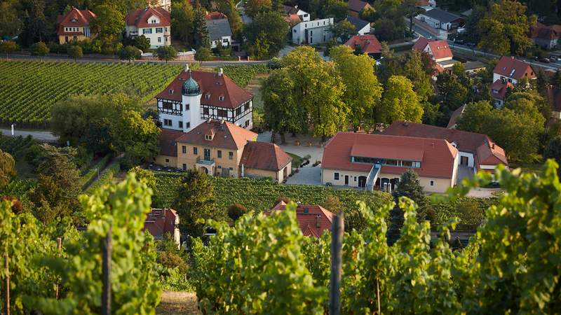 Tagen & Feiern im Weingut Hoflößnitz