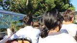 Busfahrt mit dem Oldtimer Doppeldecker Bus