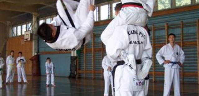 Incentive-Show: Asia Action Show