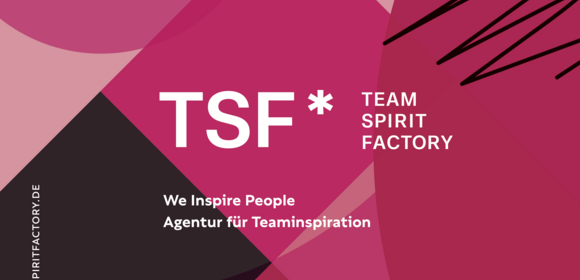 TSF* TEAM SPIRIT FACTORY