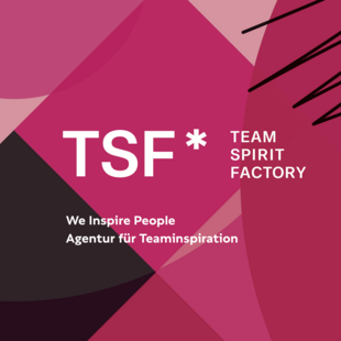 TSF* TEAM SPIRIT FACTORY