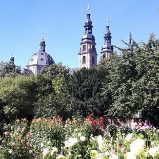 Fulda Dahliengarten Blick zum Dom