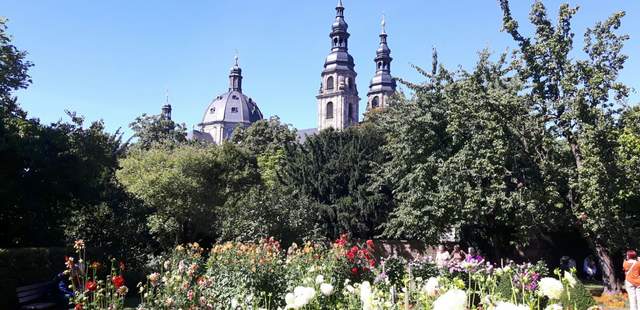 Fulda Dahliengarten Blick zum Dom