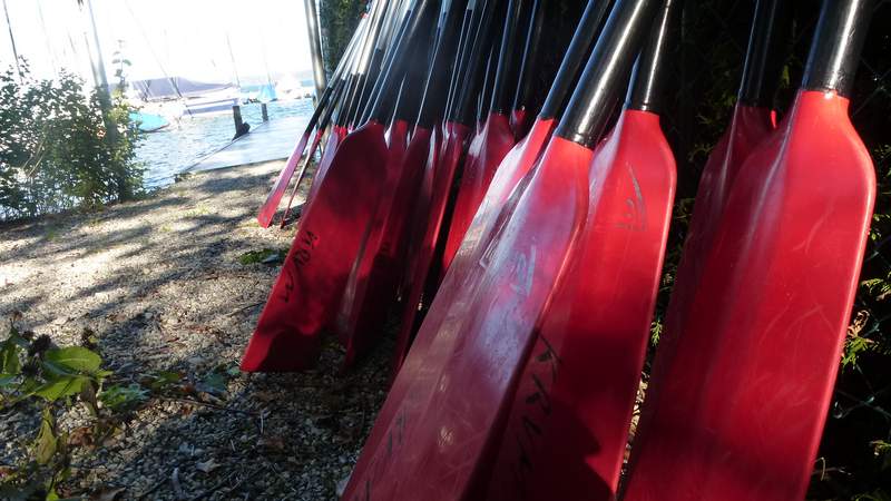 Dachenbootpaddel Drachenbootrennen