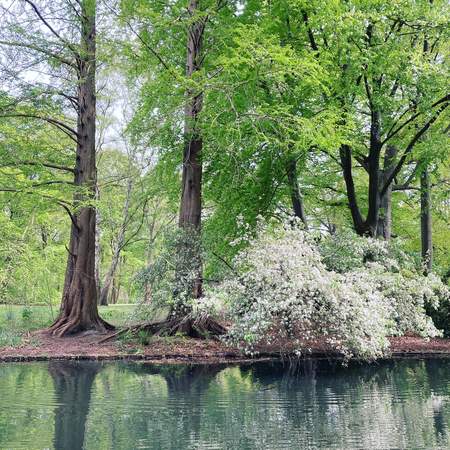 Geocaching+ im Berliner Tiergarten