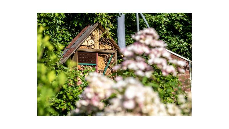 CSR-Event: Insektenhotels bauen!