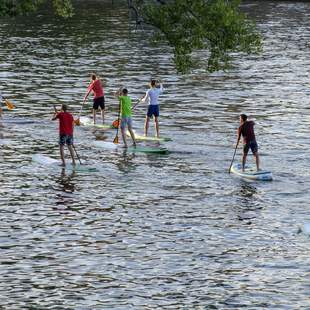 Stand Up Paddling