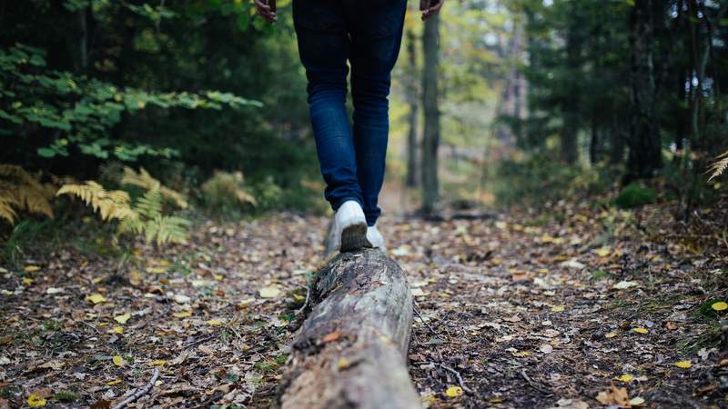 Betriebsausflug: Thüringer Wald