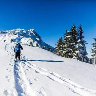 Schneeschuhwanderung im Allgäu