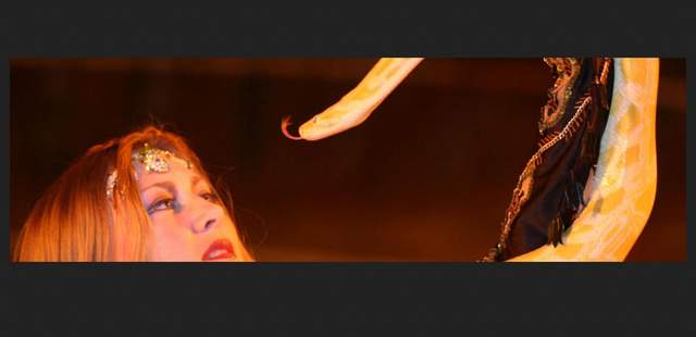 Showhighlight für Ihr Event