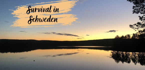 Survival Basic Abenteuer