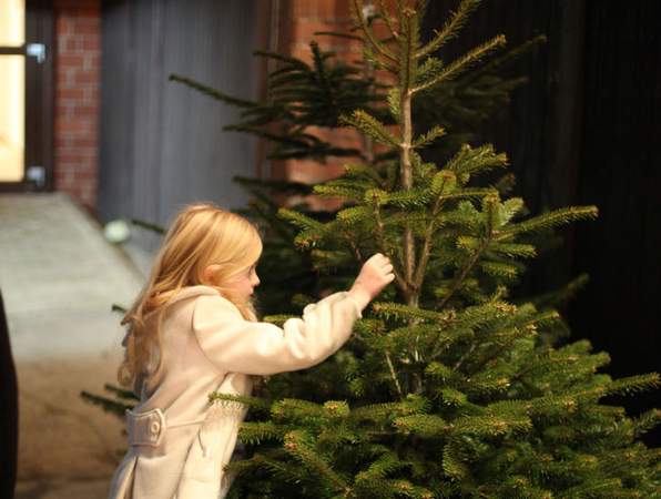 Weihnachtsfeier Weihnachtsbaum schlagen Teamevent